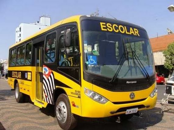 Logo de Transporte Escolar*